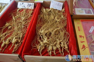 年味中的鄉土情 2015紹興越王城廟會暨農副產品展銷會側記