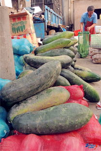 橫山橋農(nóng)副產(chǎn)品批發(fā)市場(chǎng) 新鮮平價(jià)，市民的菜籃子好去處