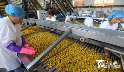 巴州 臨空經濟正起航，農副產品翱翔天際