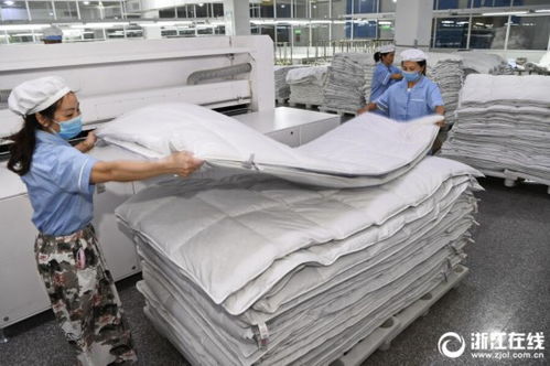 杭州羽絨制品走俏海外，匠心工藝引領全球市場新潮流